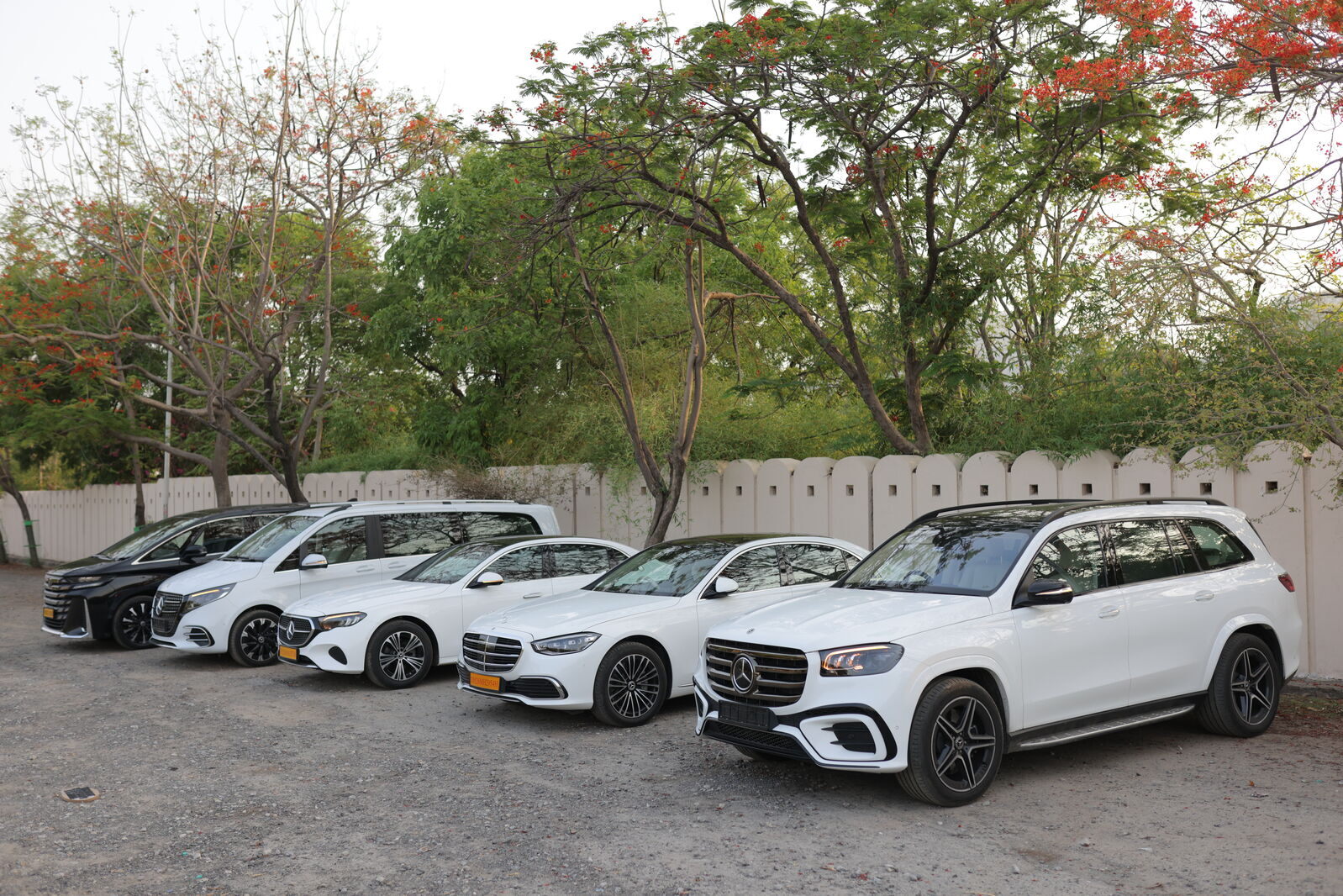 Luxury Cars